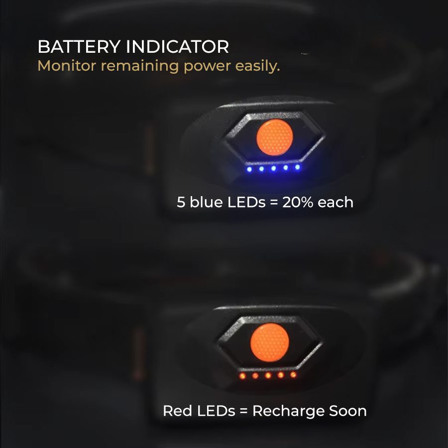 Battery level indicator with five LEDs on INK-credible headlamp